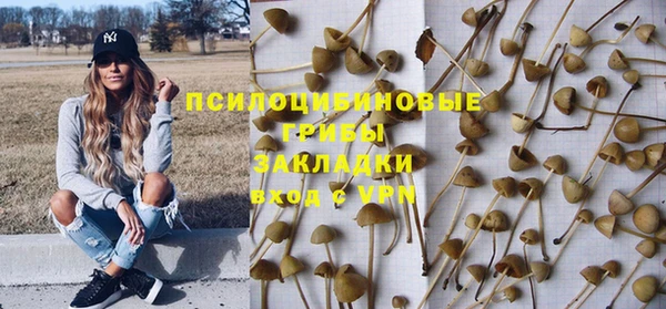 индика Алзамай