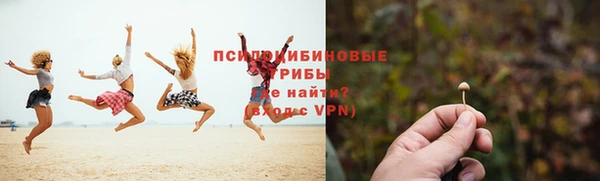 индика Алзамай