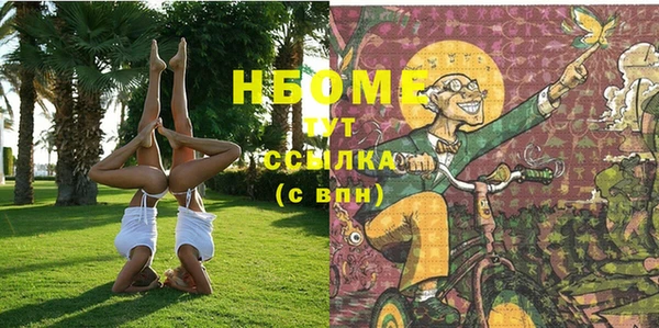 соль ск Алексин