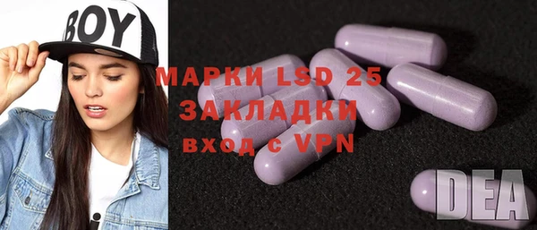 индика Алзамай