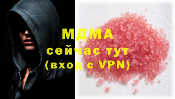индика Алзамай