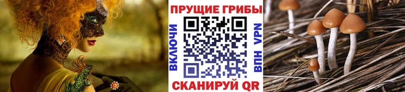 где найти наркотики  Остров  Галлюциногенные грибы MAGIC MUSHROOMS 
